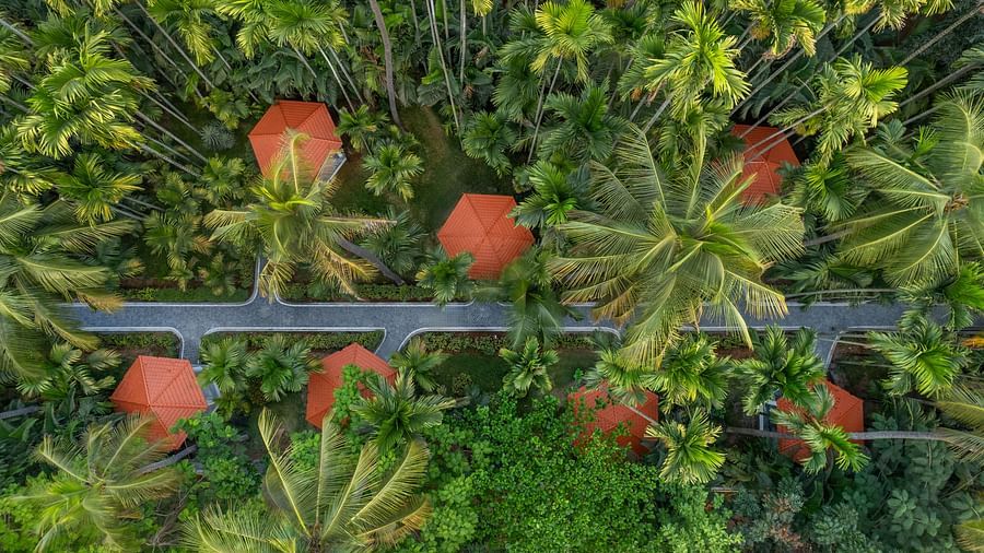 An aerial view of Mango Hill Resort, Coimbatore, with bungalows featuring orange roofs, nestled among lush green palm trees and foliage