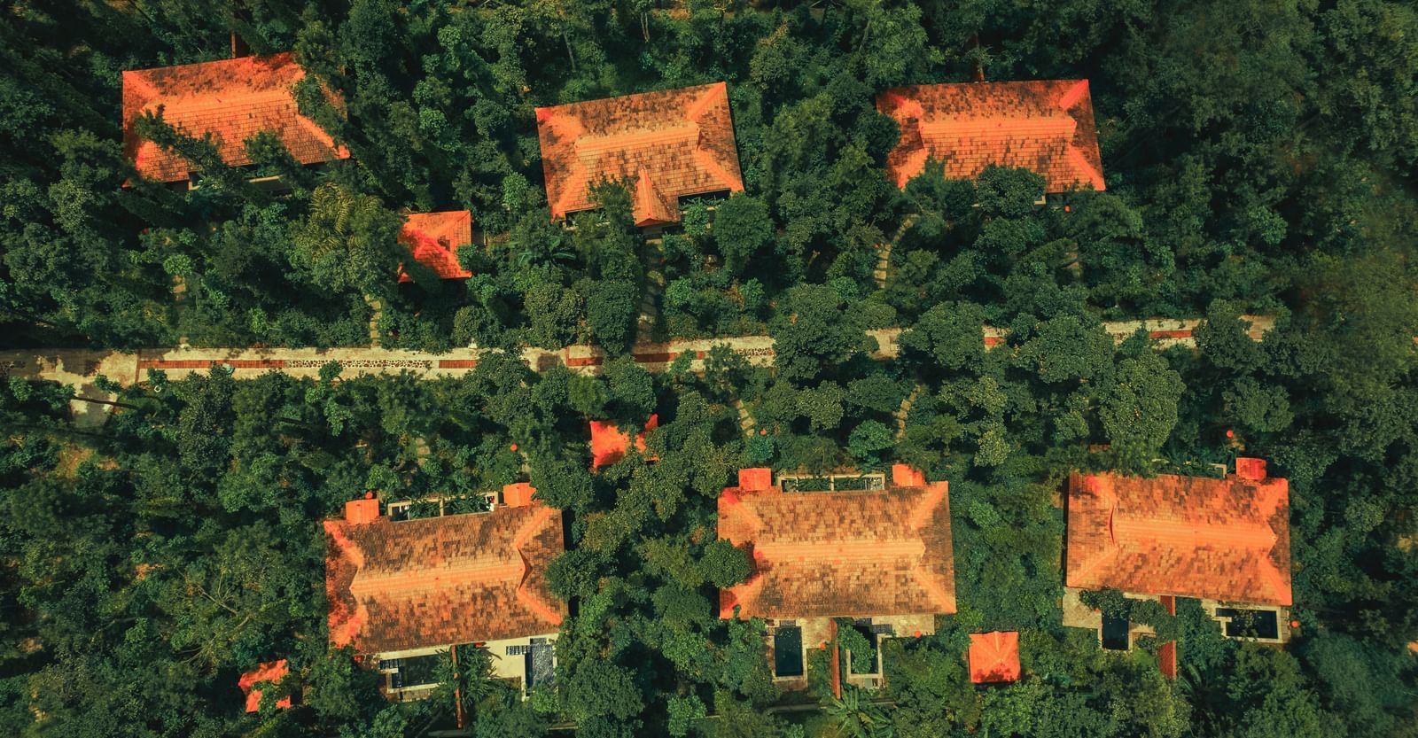 DJI 0033 copy