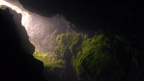 A inner view of a cave image