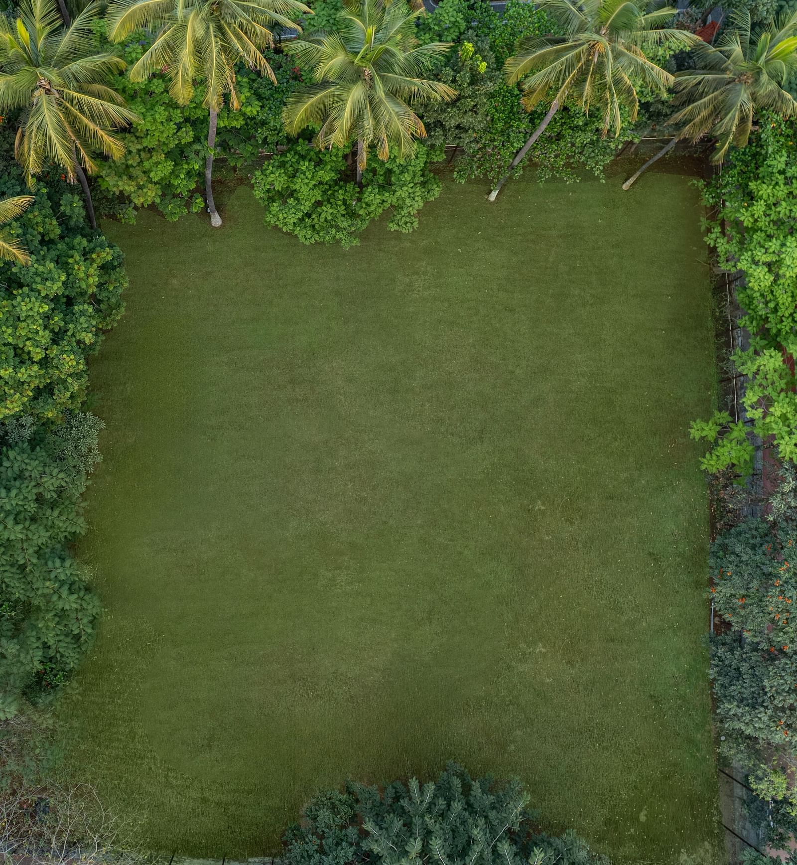 Aerial view of a green lawn - Mango Hill Resort, Coimbatore