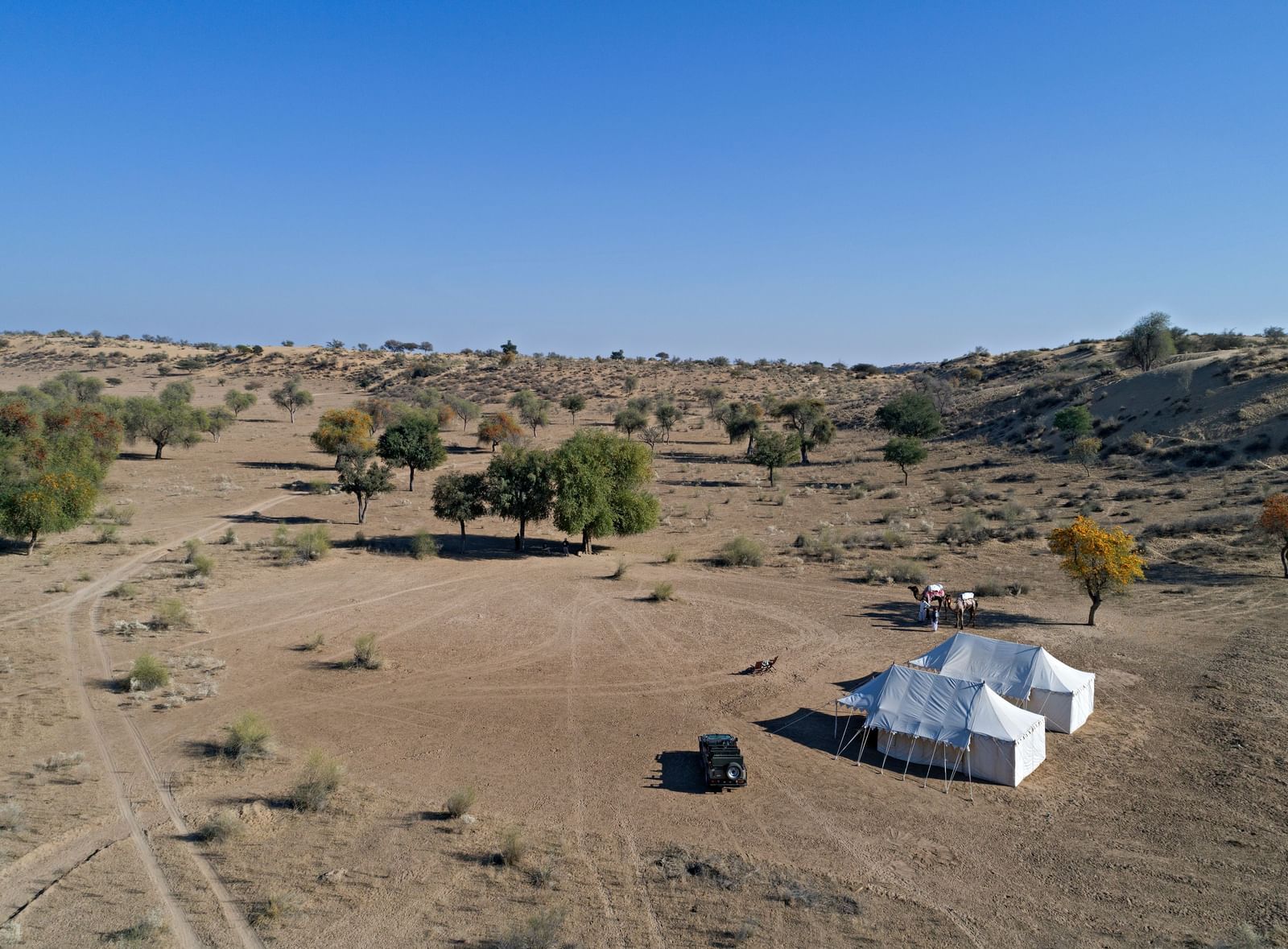 An image of a desert region with two tents set up for camping, camels, a jeep and few trees around - MANVAR Resort & Desert Camp