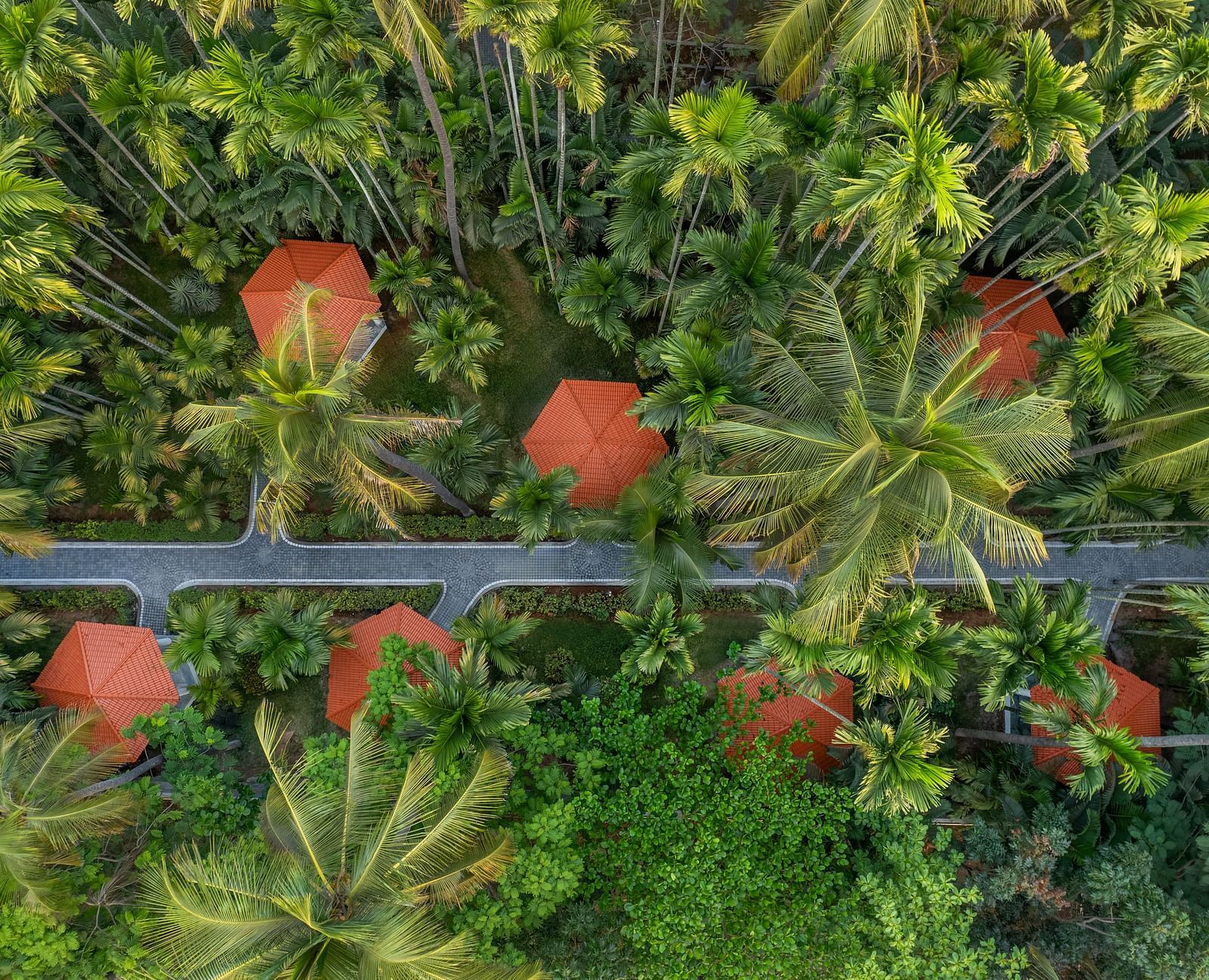 An aerial view of Mango Hill Resort, Coimbatore, with bungalows featuring orange roofs, nestled among lush green palm trees and foliage