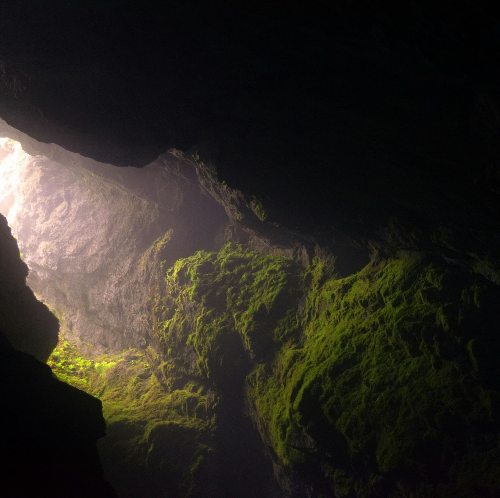 Interiors of a moss covered cave with light coming in from a crevice at the top. 