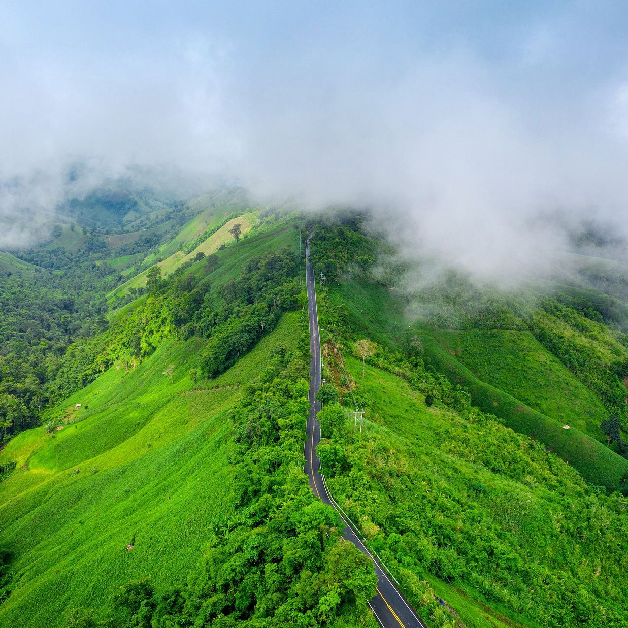 Aerial view of vibrant green hills with mist rolling over tea plantations and a narrow trail cutting through the terrain.