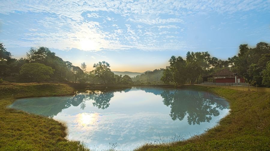 A small lake with blue skies in the background at Capitol Village Resort, Madikeri