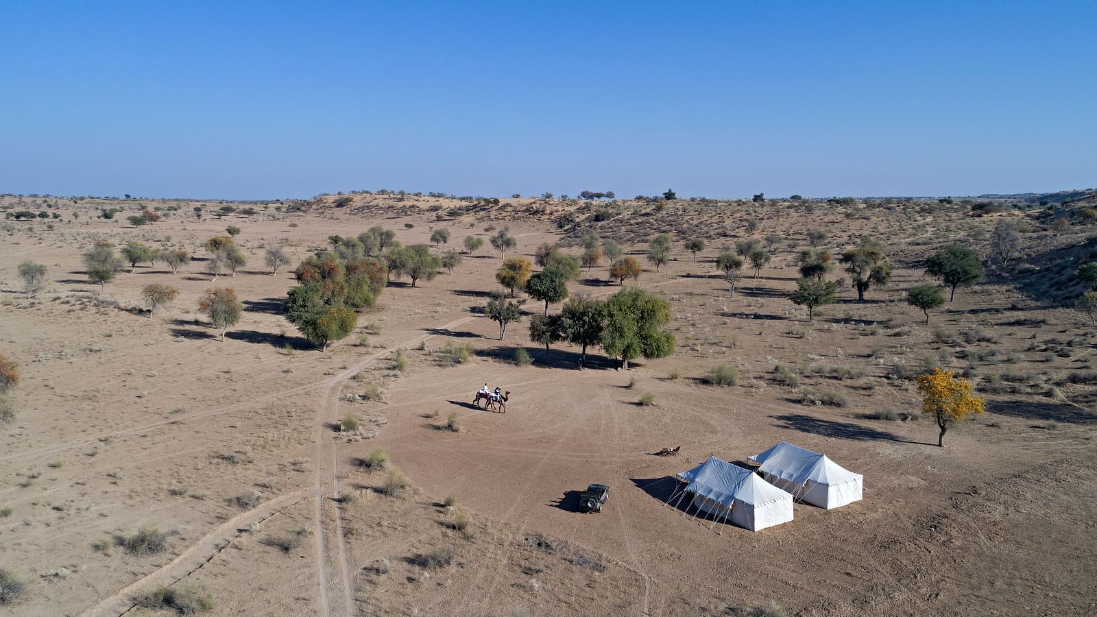 An image of a desert region with two tents set up for camping, camels, a jeep and few trees around - MANVAR Resort & Desert Camp.