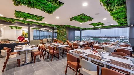 A stylish restaurant with large windows, chic furniture, and greenery lime tree on the ceiling.