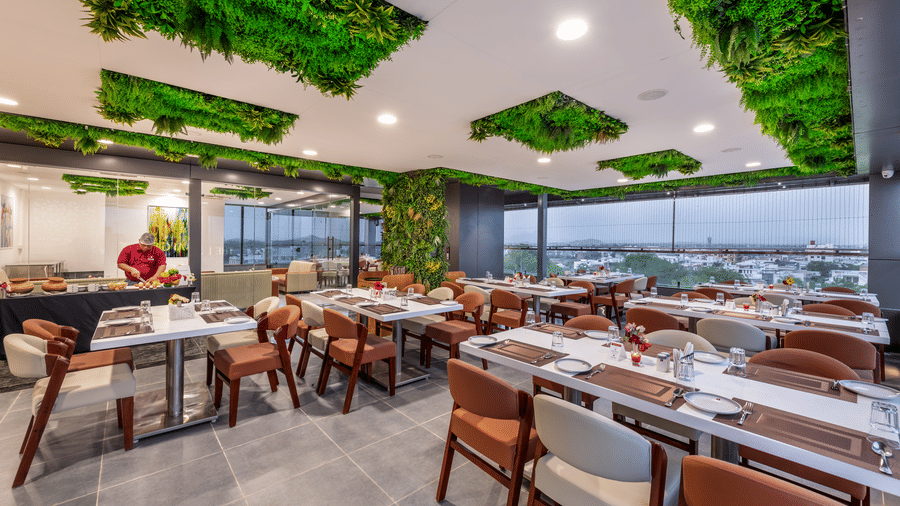 A stylish restaurant with large windows, chic furniture, and greenery lime tree on the ceiling.