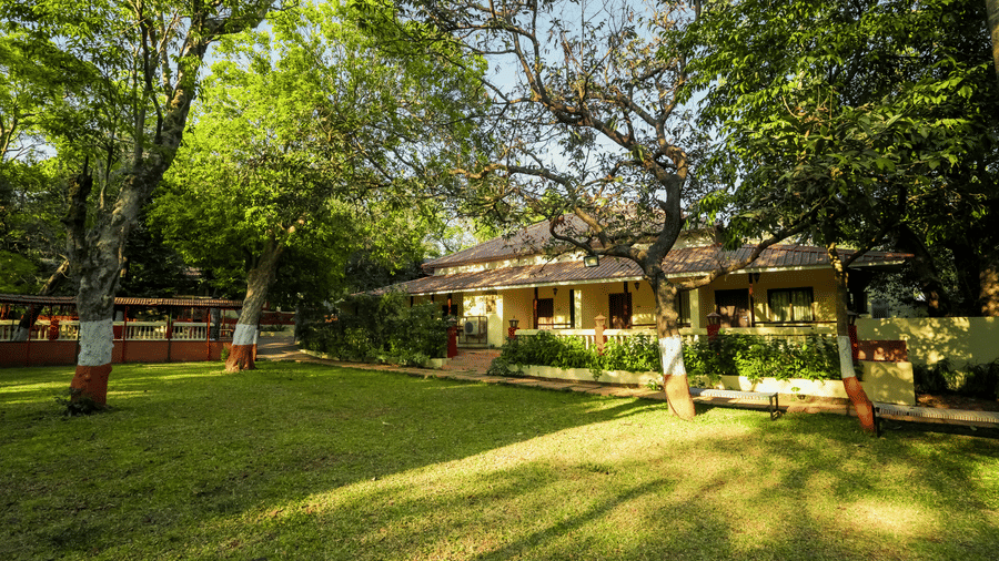 A garden setting with open lawns and cottages at Adamo The Village