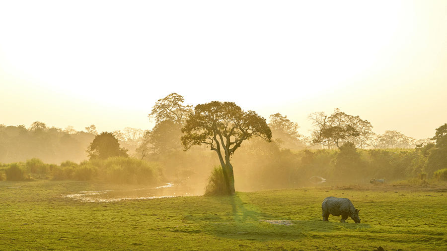 Explore Assam | BluSalzz Hospitality