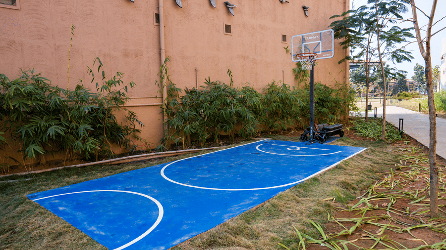 An outdoor area featuring a blue basketball half-court with white lines and a hoop next to a brown wall at Hotel Sonar Bangla, Ajodhya Hills.