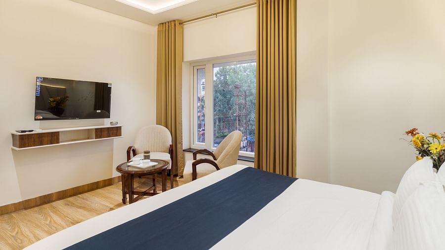 Television and double bed at Luxury City View Room at Hotel Meghdoot
