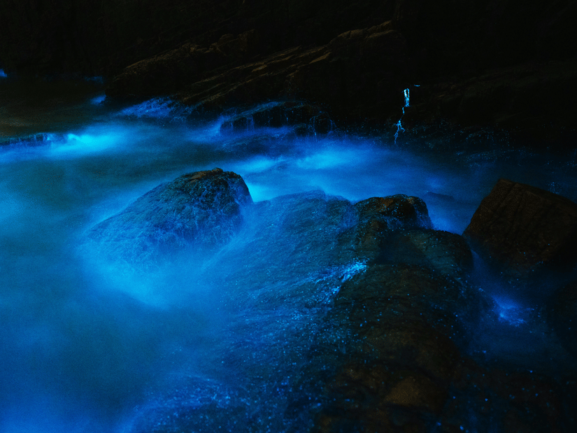 Glowing blue bioluminescent water surrounding dark rocks at night, creating a luminous effect against the black sea.