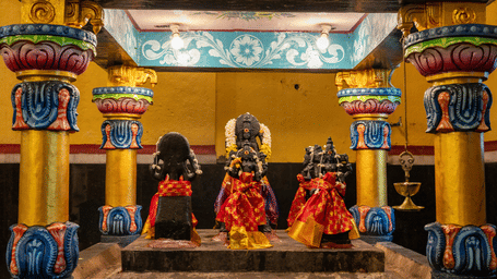 9 idols forming the Navagraha, carved out of black stone, each draped in a fresh bright coloured garment under a canopy.