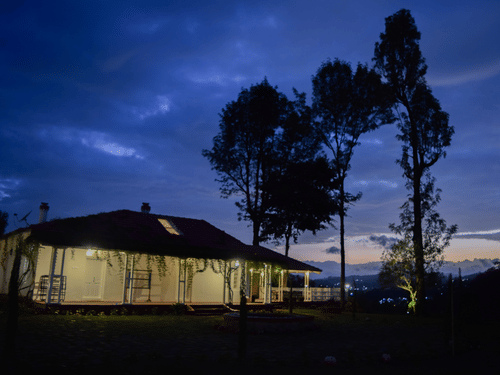 a building with tall trees next to it and dark sky in the background