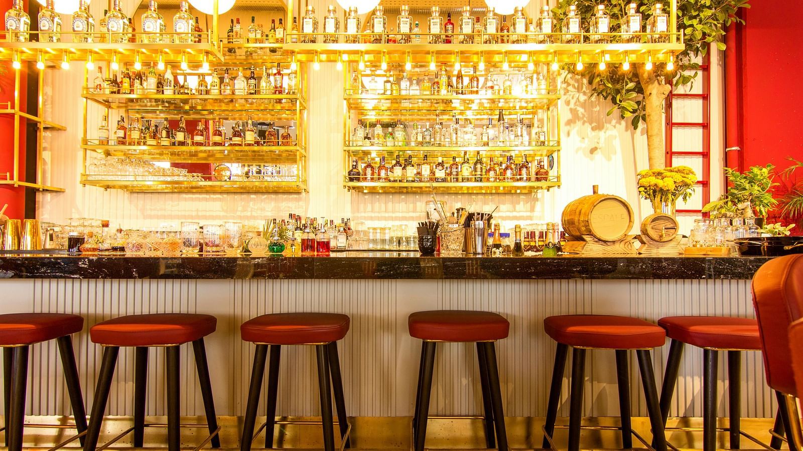A bar showcasing a variety of drinks arranged on the shelves.