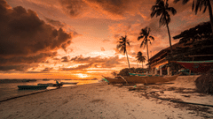 photography of a beach during golden hour