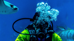 A close up of a scuba diver wearing full gear with a fish swimming close to him.