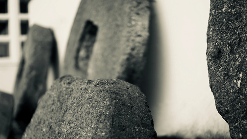 pexels-jan-prokes-709734 (1)