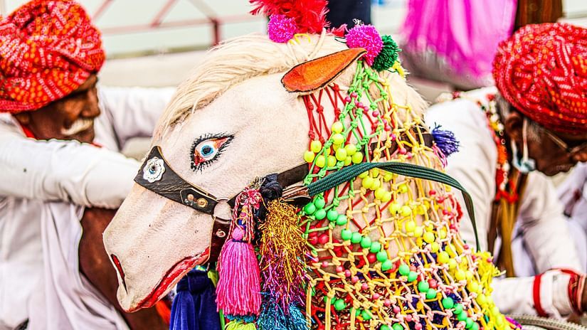 matsya festival