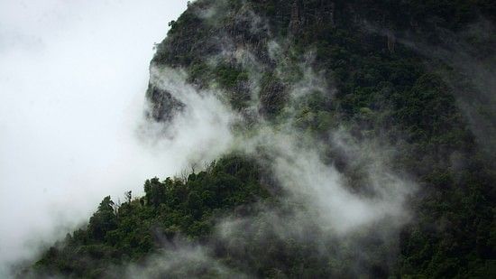 A serene view of mountains covered in thick fog