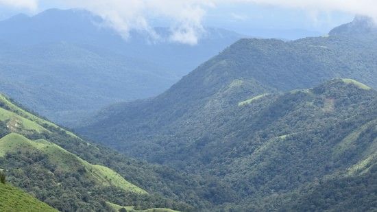 lush green mountain valley with forests and clouds in the background