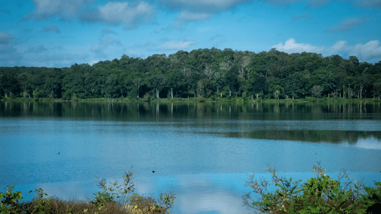 A serene picture of the Kabini lake with forest cover in the distance - The Serai Kabini.