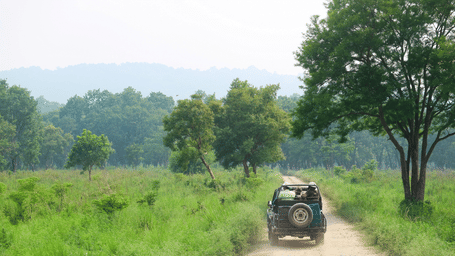 A safari vehicle driving on a dirt path through green grass with trees and hills in the distance.
