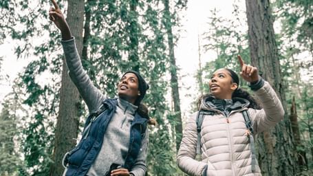Two women hikers, one in a blue vest and the other in a puffer jacket, point upwards in a forest of tall trees.