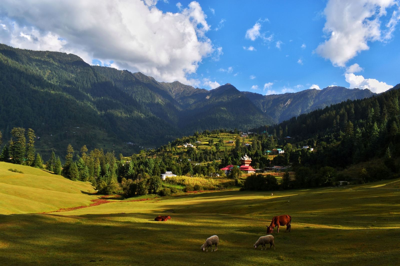 carpeted grassland surrounded by lofty mountain ranges