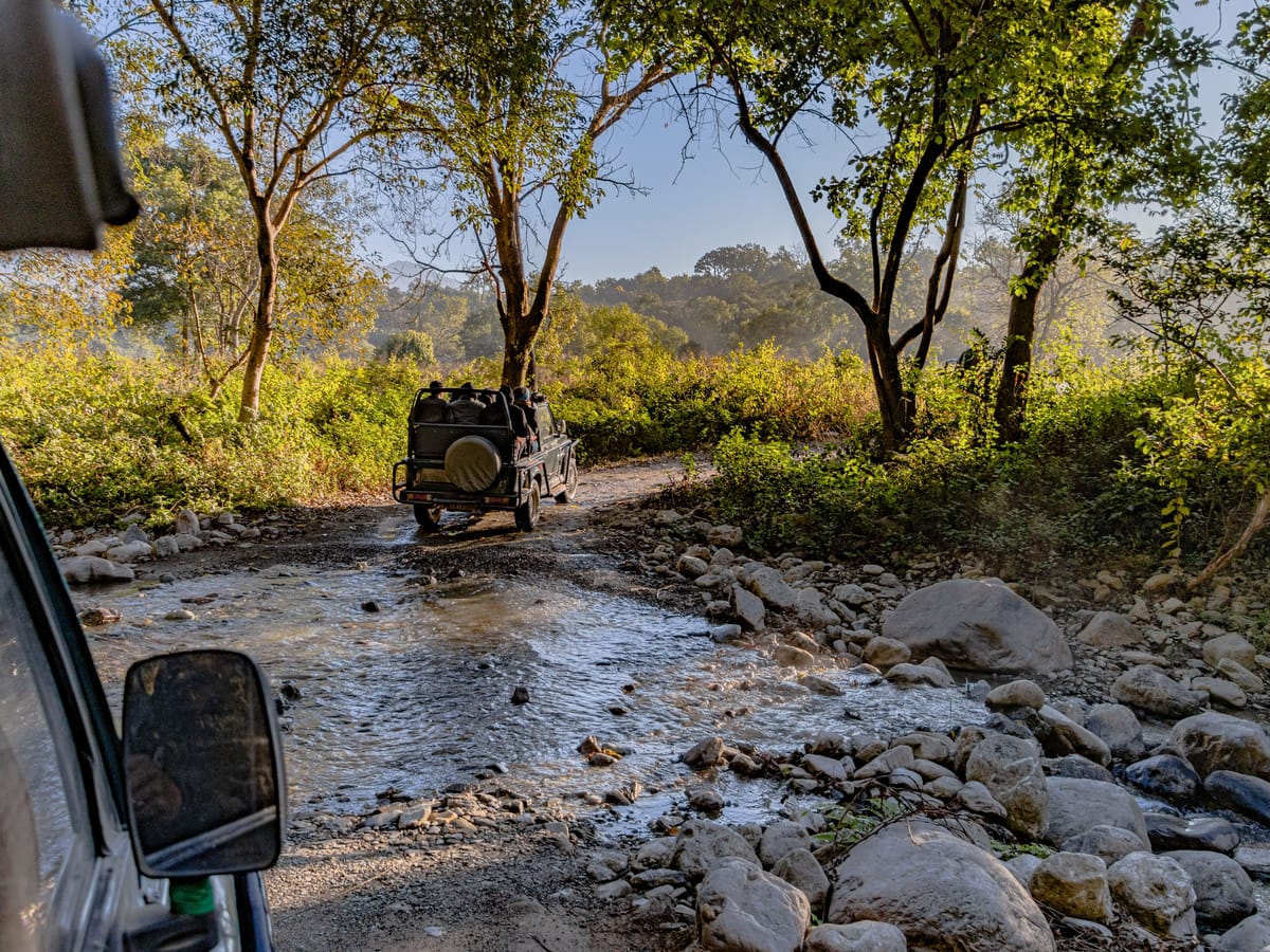 A jeep safari setting out from Signum Resort, Bandhavgarh