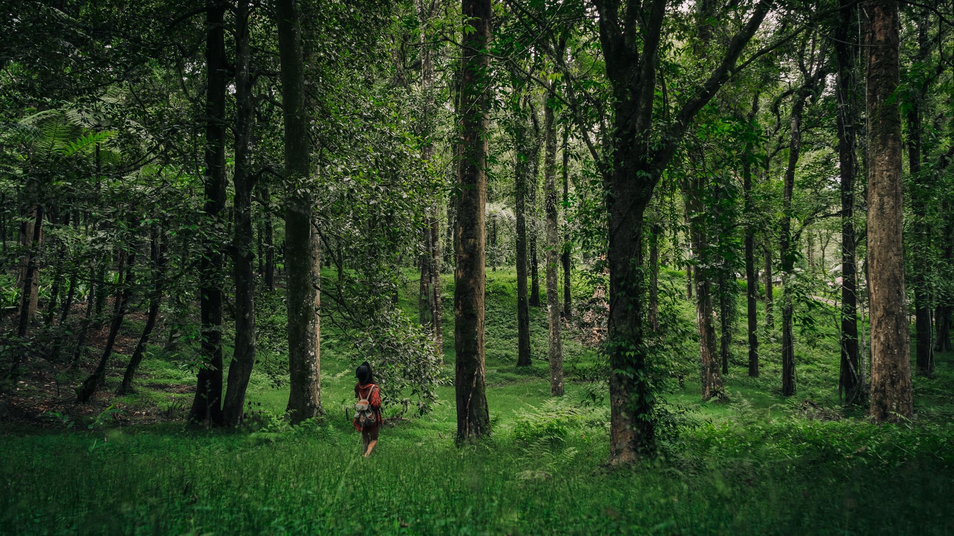 A guided nature walk through the grounds at Signum Resort, Bandhavgarh