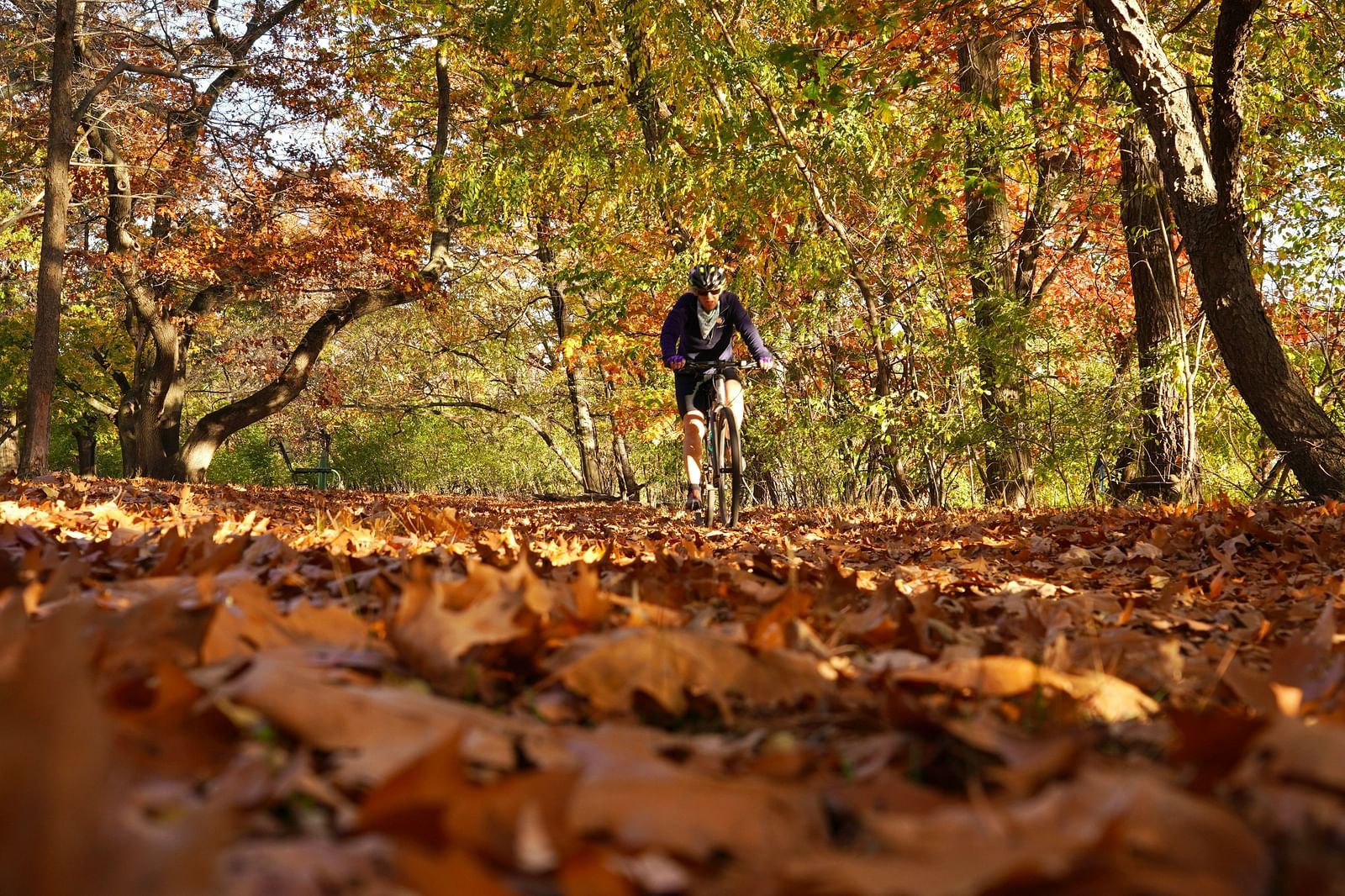 A person riding bicycle in the middle of woods