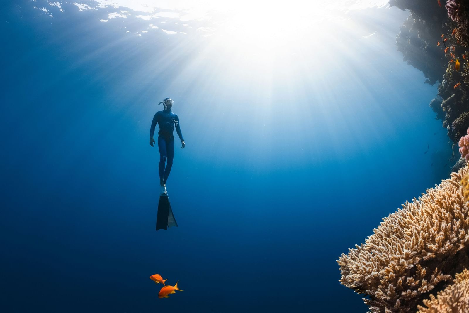A diver swimming towards the ocean surface in a sunlit underwater scene