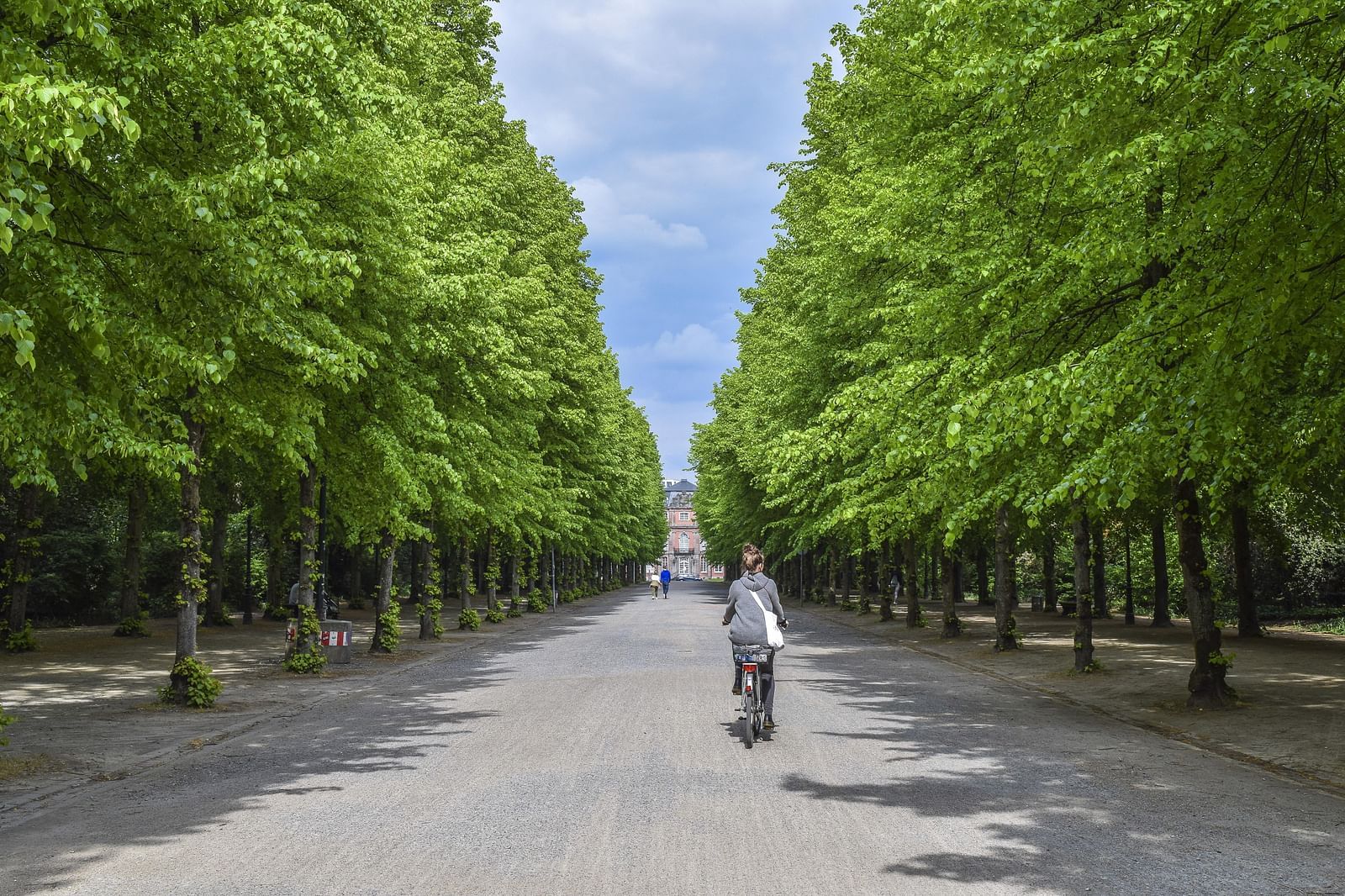 A cyclist cycling along a tarred road with trees on either side of the road.