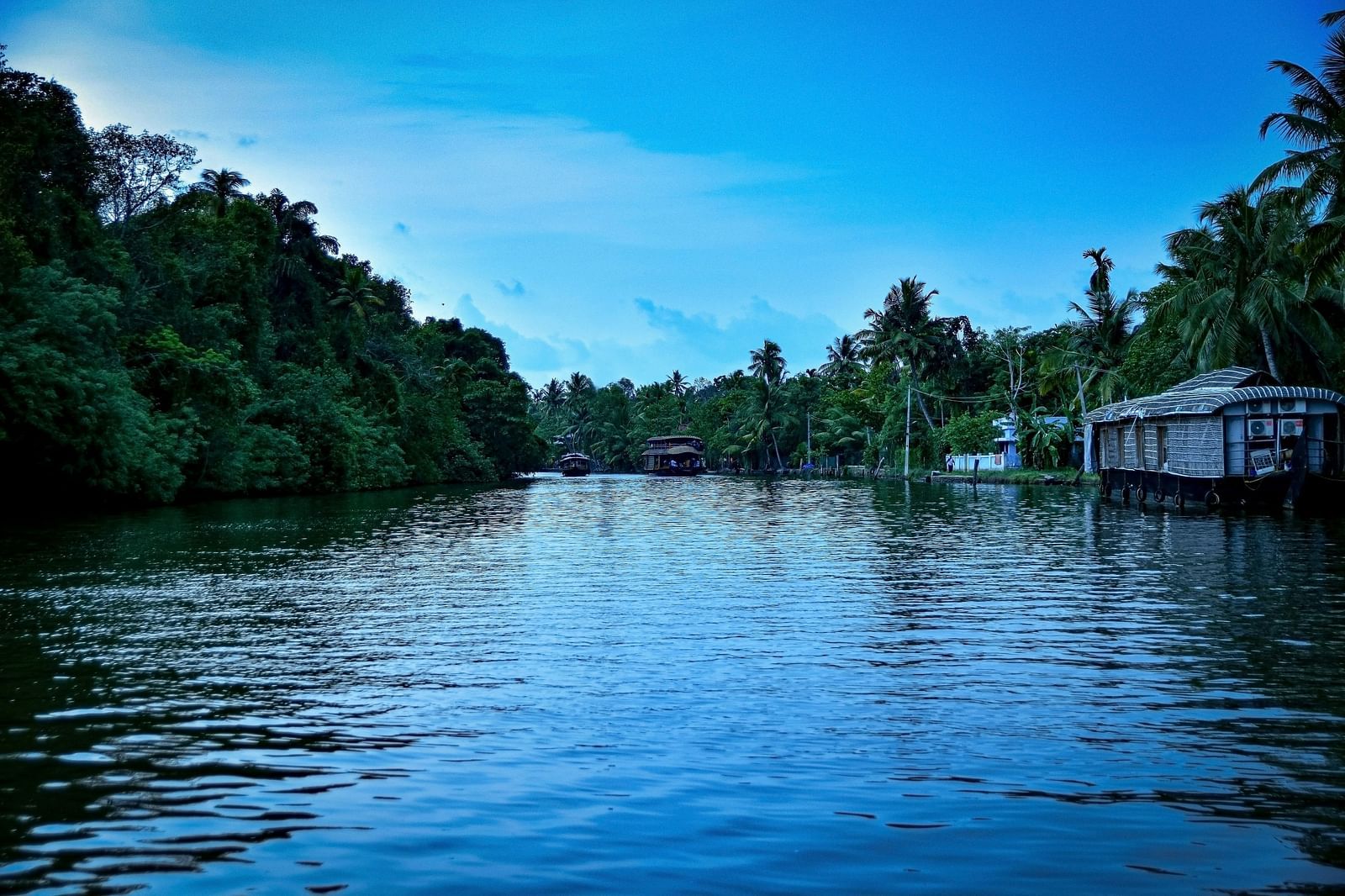 an image of overview of the Kumarakom backwaters with a boat on the side and forest cover on either side.