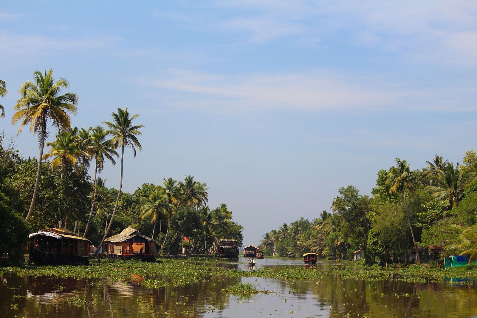 an overview of the backwaters of kumarakom with trees on either side
