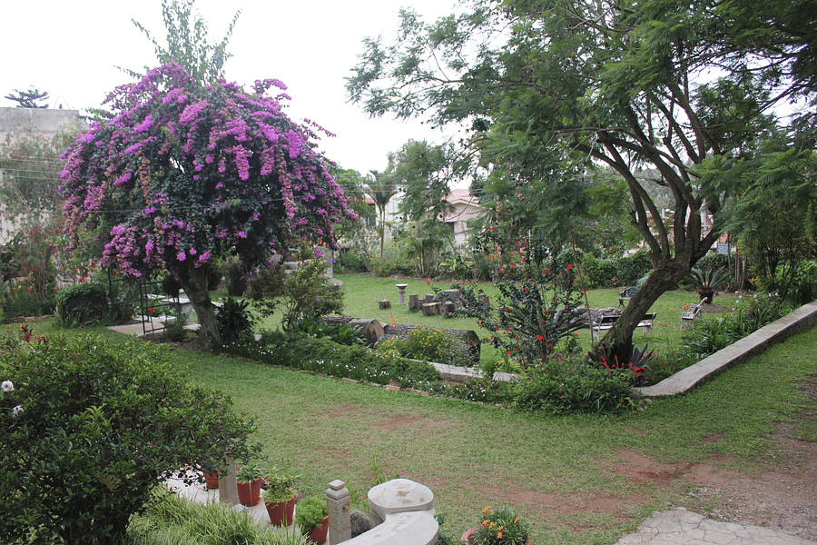 View of Full Lawn