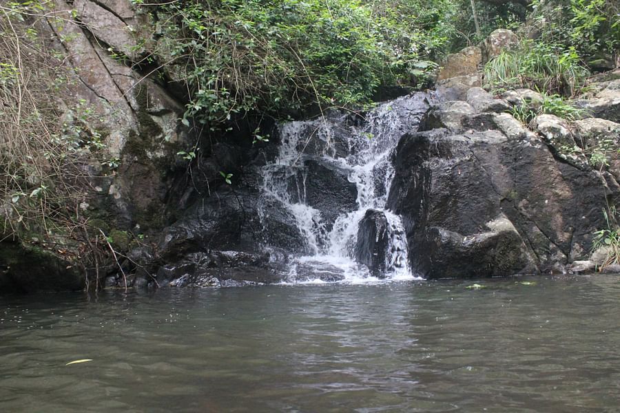 alt-text Let s Camp Yercaud activity stream