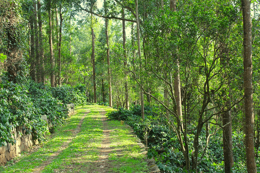 Trekking Route