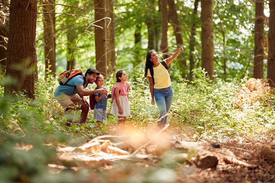 alt-text  family of four, including two adults and two children, is hiking through a lush, green forest. One adult is pointing out something in the trees to the children, who look excited.