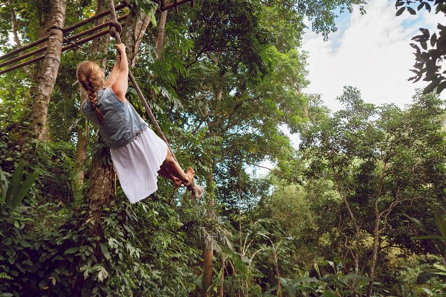A girl in a frock swinging a tarzan swing, tied to a tree top, in a dense forest