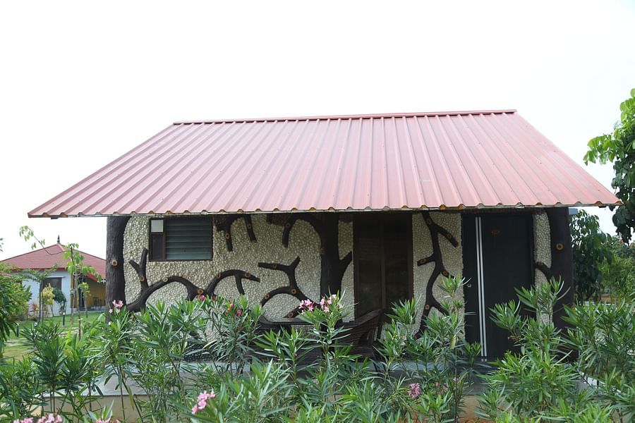 Potted plants placed before the Themed Suite Villas at GK Hill View Resort.
