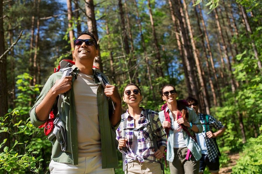 alt-text Four adults hiking in a lush forest, all wearing backpacks and casual hiking attire, suggesting a friendly outdoor activity.