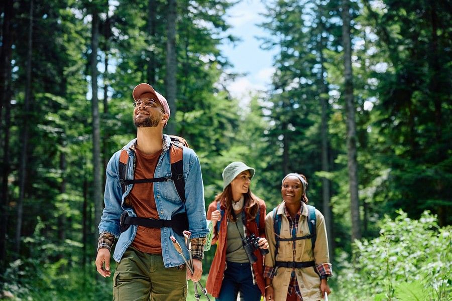 a gorup of people on a trek through a forest during daytime