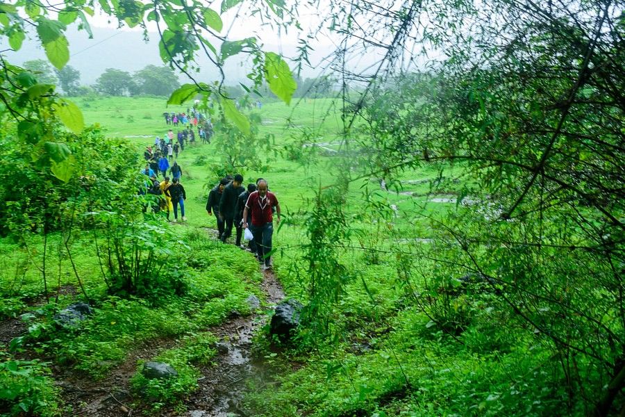 alt-text A group of people trekking up a hill, wearing raincoats on a grassland near a forest