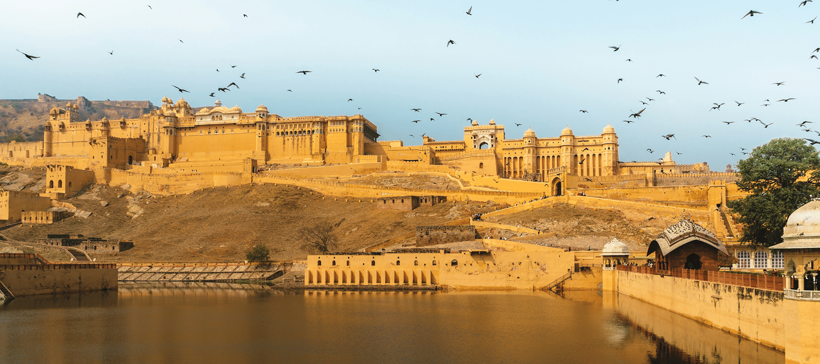view of Amber Fort in Jaipur from across the lake as birds fly past