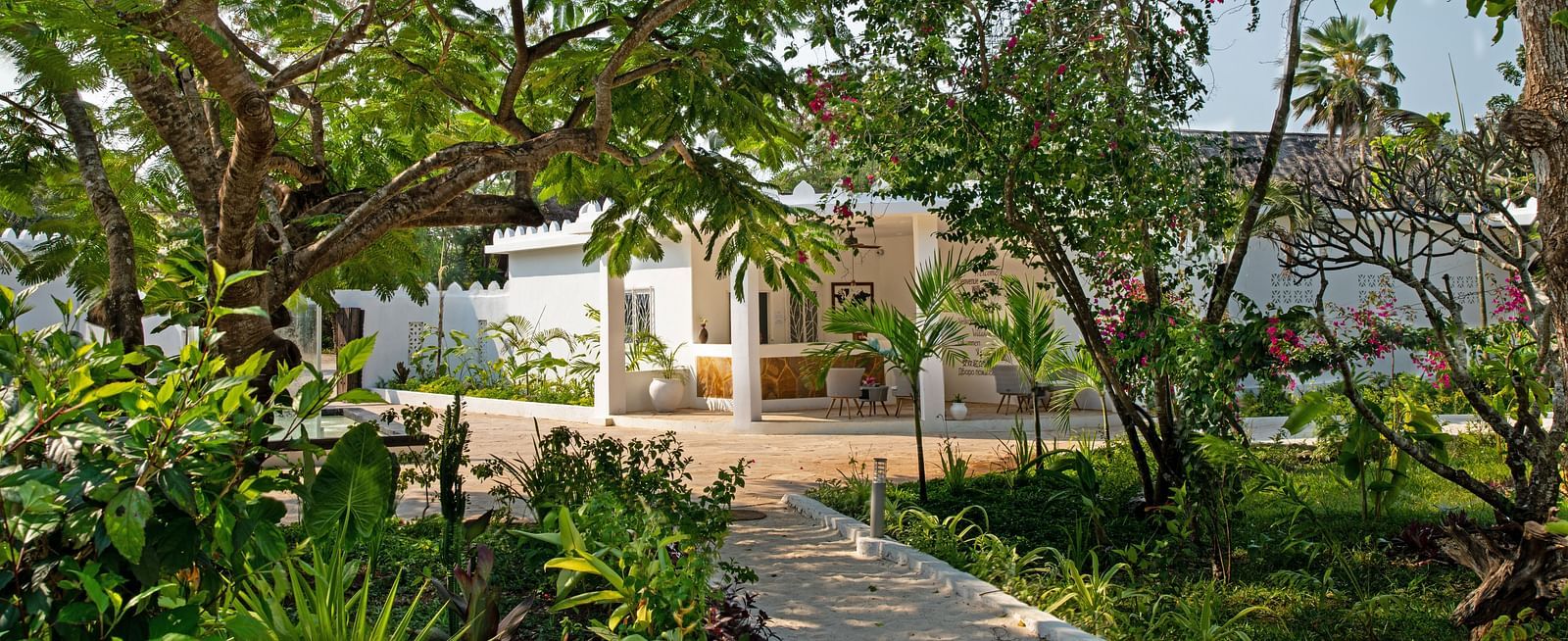 View of Entrance and Reception Area surrounded by trees at Shooting star Boutique Hotel