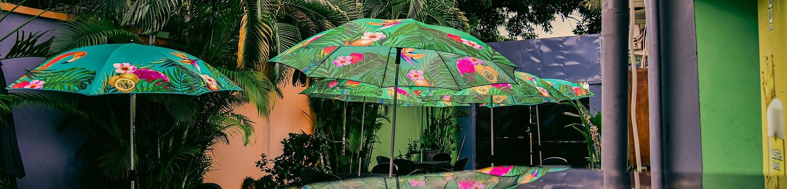 Many open umbrellas and trees in view with the reflection of the same in the foreground.