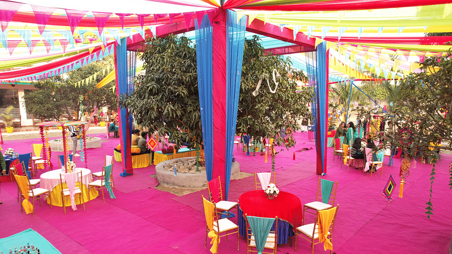 Restaurant Lawn 3
